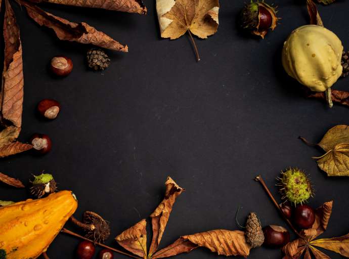 #AvignoFest: 25° Festa d'Autunno